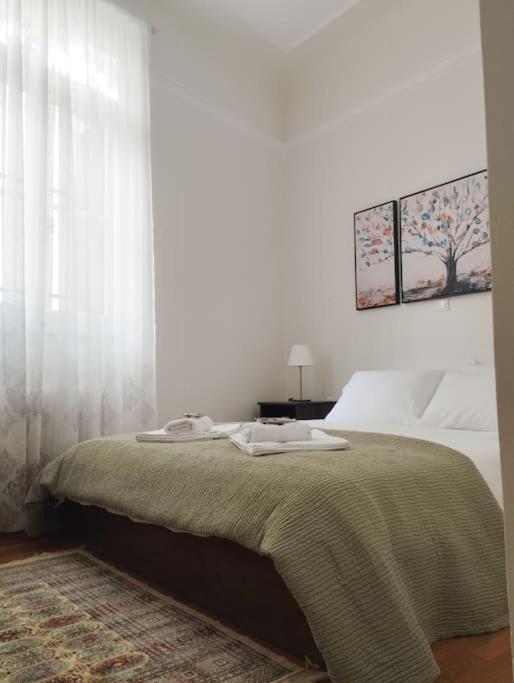 Calliope'S Neoclassical Home In The Heart Of Plaka Atenas Exterior foto